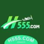 H555 Game